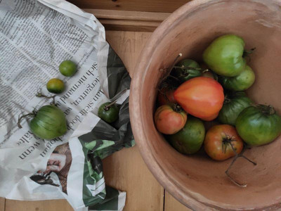 Tomaten nachreifen lassen