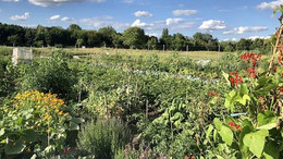 Miete deinen Garten an unserem neusten Standort Baumschulenweg