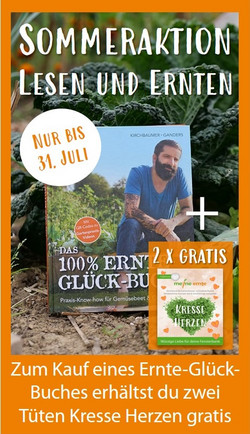 Meine Ernte Anfangerfreundlich Gartnern Die 8 Einfachsten Gemusesorten