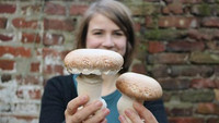 Frau mit selbst gezüchteten Pilzen