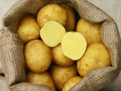 Kartoffel Adretta