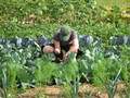 Foto bei der Gartenarbeit
