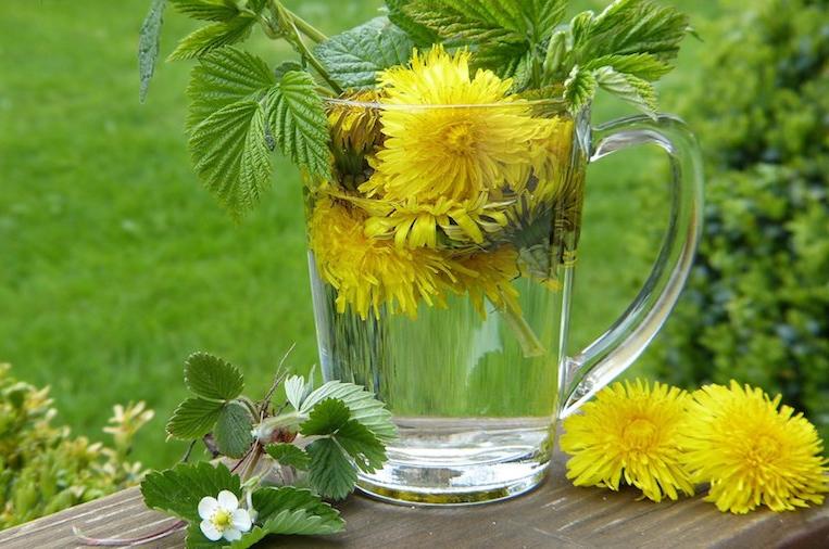 Aus den Blüten kannst du Tee herstellen