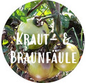 Kraut- und Braunfäule