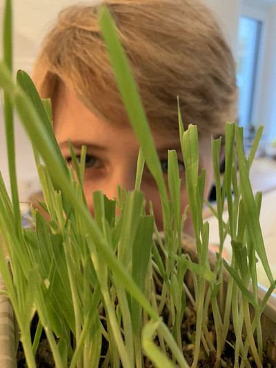 Natalie mit frischem Grün Gerstengras in der Küche