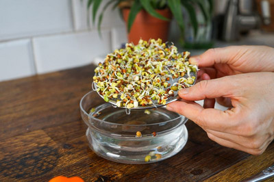 Sprossenbowl von meine ernte