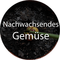 Mehr Infos zu Nachwachsendem Gemüse