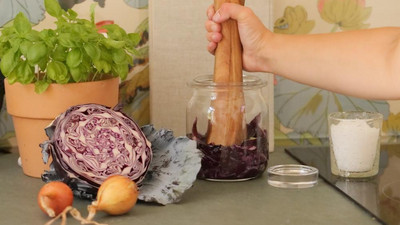 Rotkohl mit Holzstampfer fürs Fermentieren vorbereiten