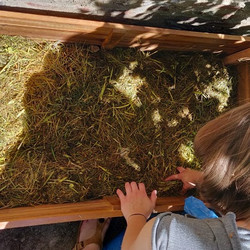 Rasenschnitt findet im Hochbeet Verwendung
