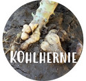 Kohlhernie