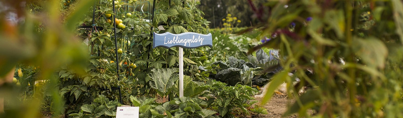 Meine Ernte Miete Deinen Gemusegarten In Frankfurt