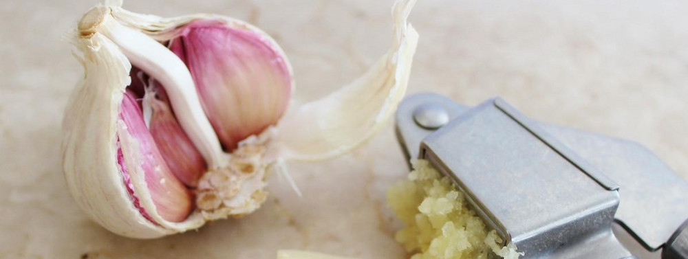 Meine Ernte Knoblauch Anbauen Pflegen Ernten Und Lagern