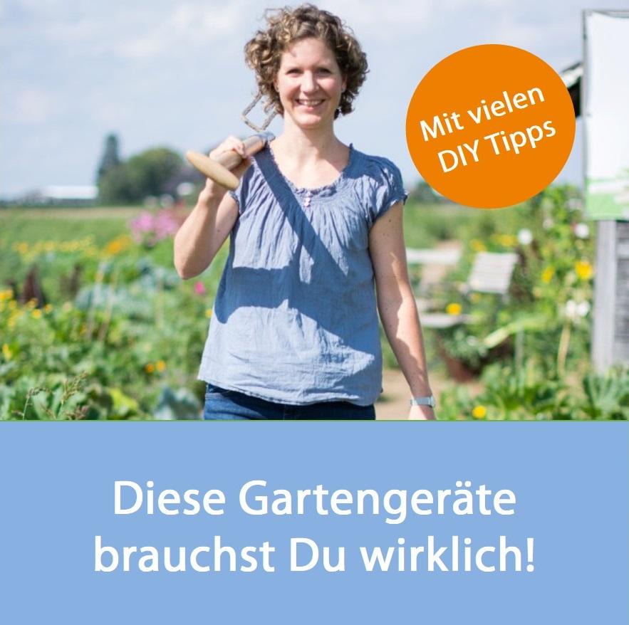 Meine Ernte Anfangerfreundlich Gartnern Die 8 Einfachsten Gemusesorten