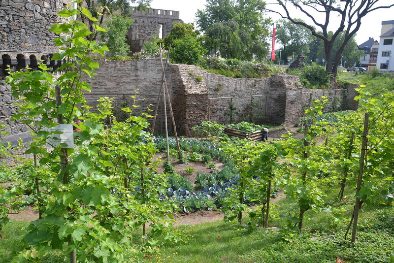 Andernach - die essbare Stadt
