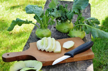 Kohlrabi schmeckt sowohl roh als auch gekocht
