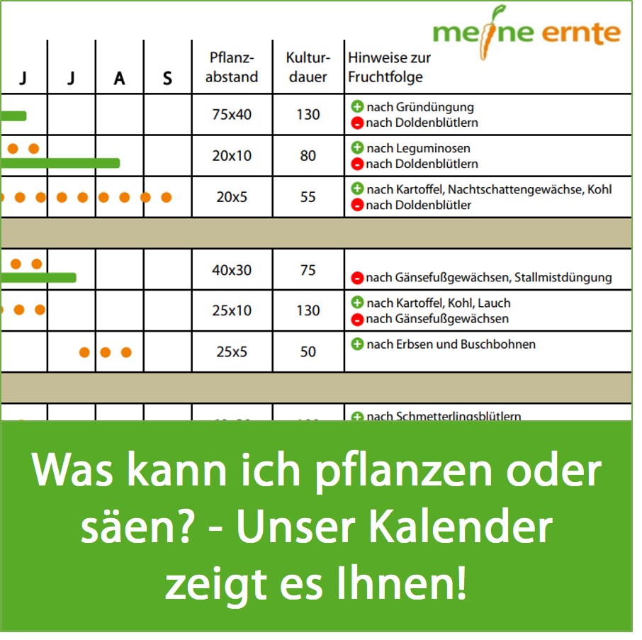 meine ernte Hier erfährst Du alles Wichtige rund um Deinen Gemüsegarten!