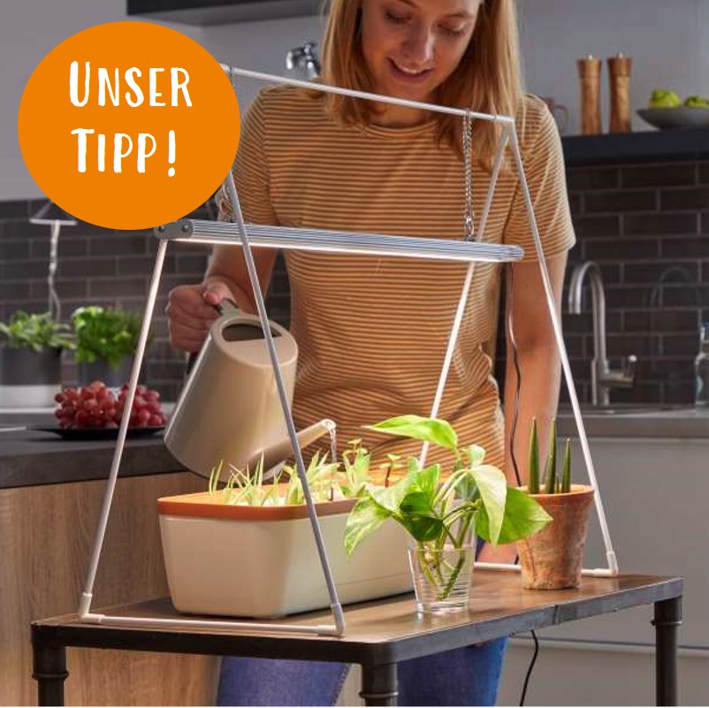 Anzuchtlampe Grow light Duo