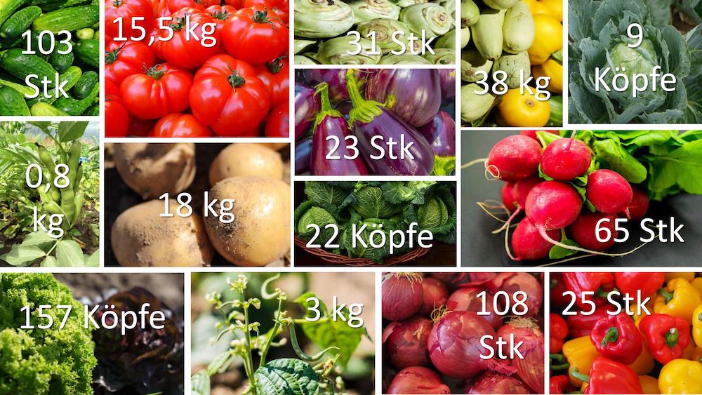 Schau Dir an, welchen unglaublichen Ertrag Du aus 45 qm herausholen kannst