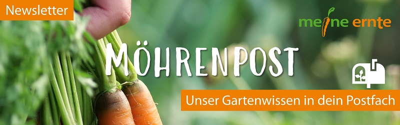 Abonniere die meine ernte Möhrenpost Banner meine ernte "Abonniere die meine ernte Möhrenpost"