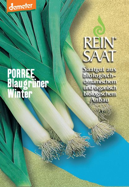 Saatgut Porree "Blaugrüner Winter"