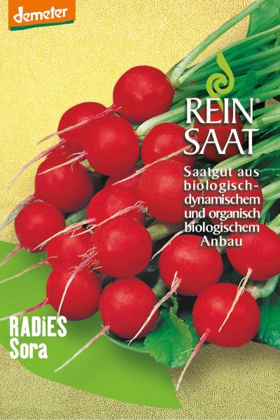 Meine Ernte Anfangerfreundlich Gartnern Die 8 Einfachsten Gemusesorten