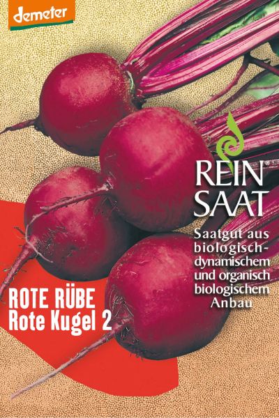 Meine Ernte Anfangerfreundlich Gartnern Die 8 Einfachsten Gemusesorten