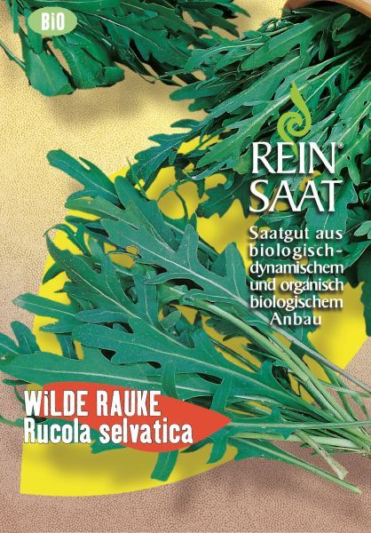Meine Ernte Anfangerfreundlich Gartnern Die 8 Einfachsten Gemusesorten