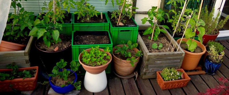 meine ernte Garten und Balkon winterfest machen 8 Schritte mit denen