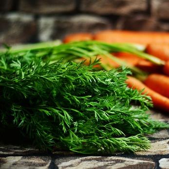 Möhrengrün muss nicht in den Bio-Müll, sondern kann auch gegessen werden