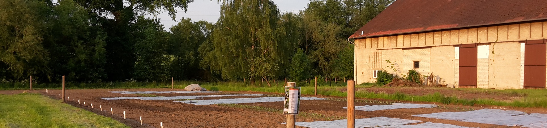 meine ernte: Miete deinen Gemüsegarten in Bielefeld!