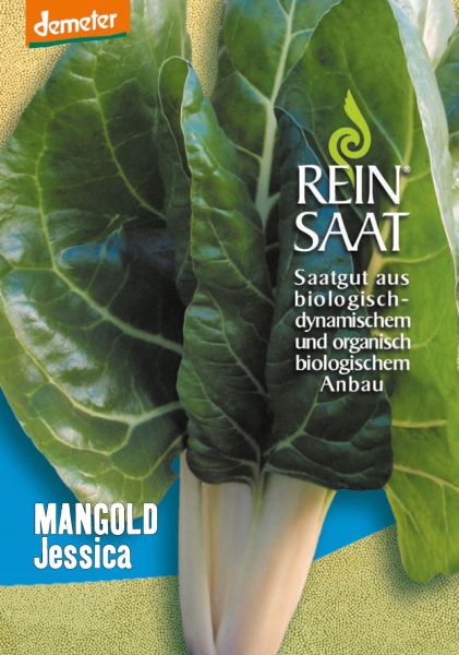 Meine Ernte Anfangerfreundlich Gartnern Die 8 Einfachsten Gemusesorten