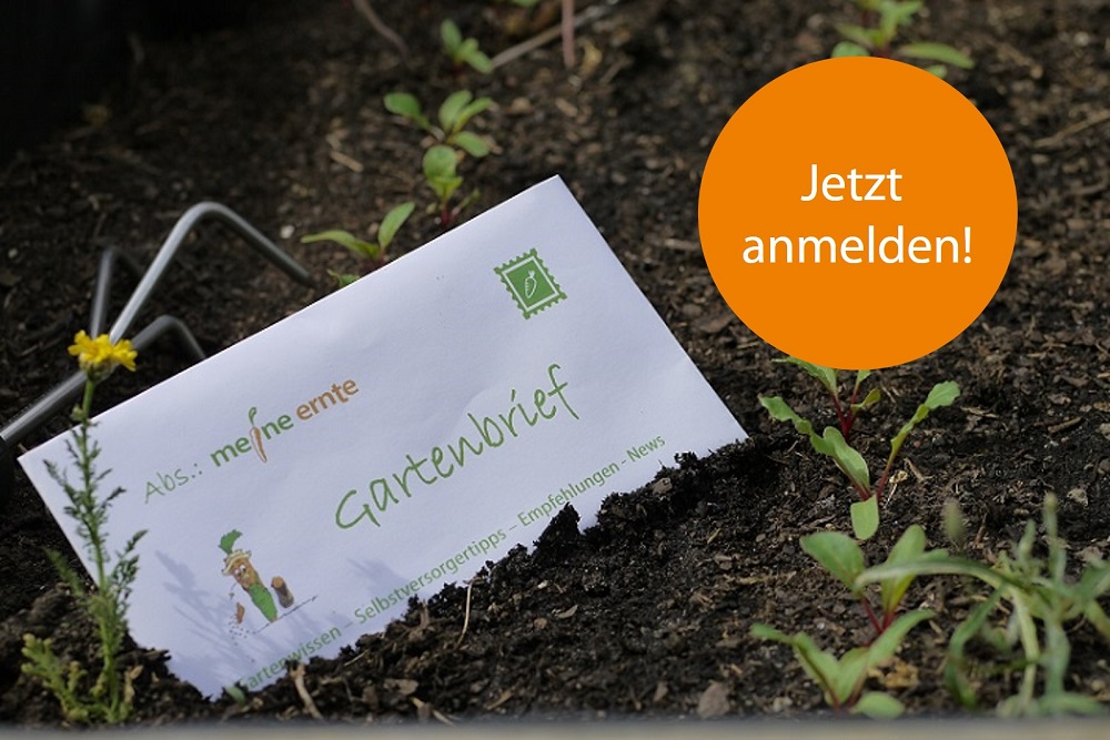 Abonniere deinen Gartenbrief von meine ernte
