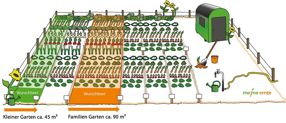 meine ernte Gemüsemietgärten meine ernte Gemüsemietgärten