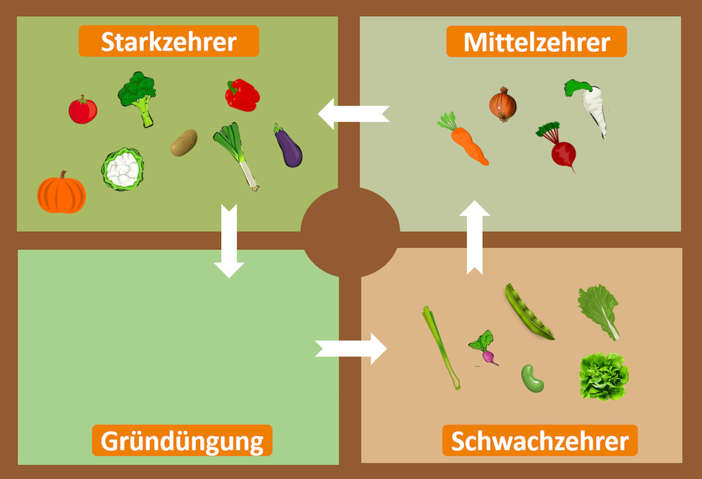 meine ernte: Wer seine Beete sinnvoll plant und die Fruchtfolge