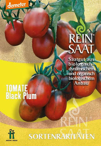 Erdbeertomate supersüß & knackig 10 frische Tomatensamen Samen Rispentomate 