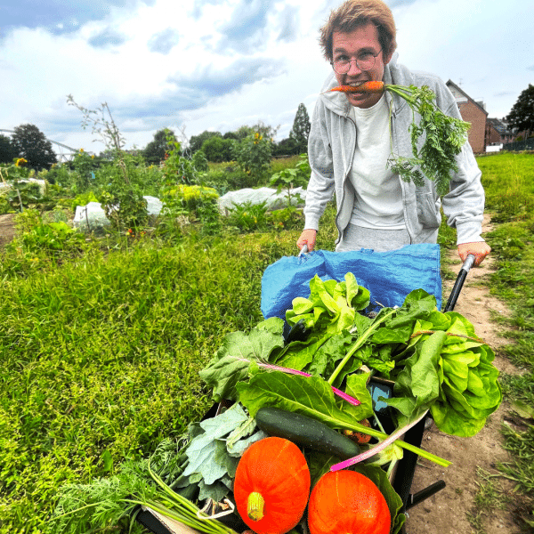 Gemüsegarten mieten in DüsseldorfNiederkassel 2025 meine ernte Shop