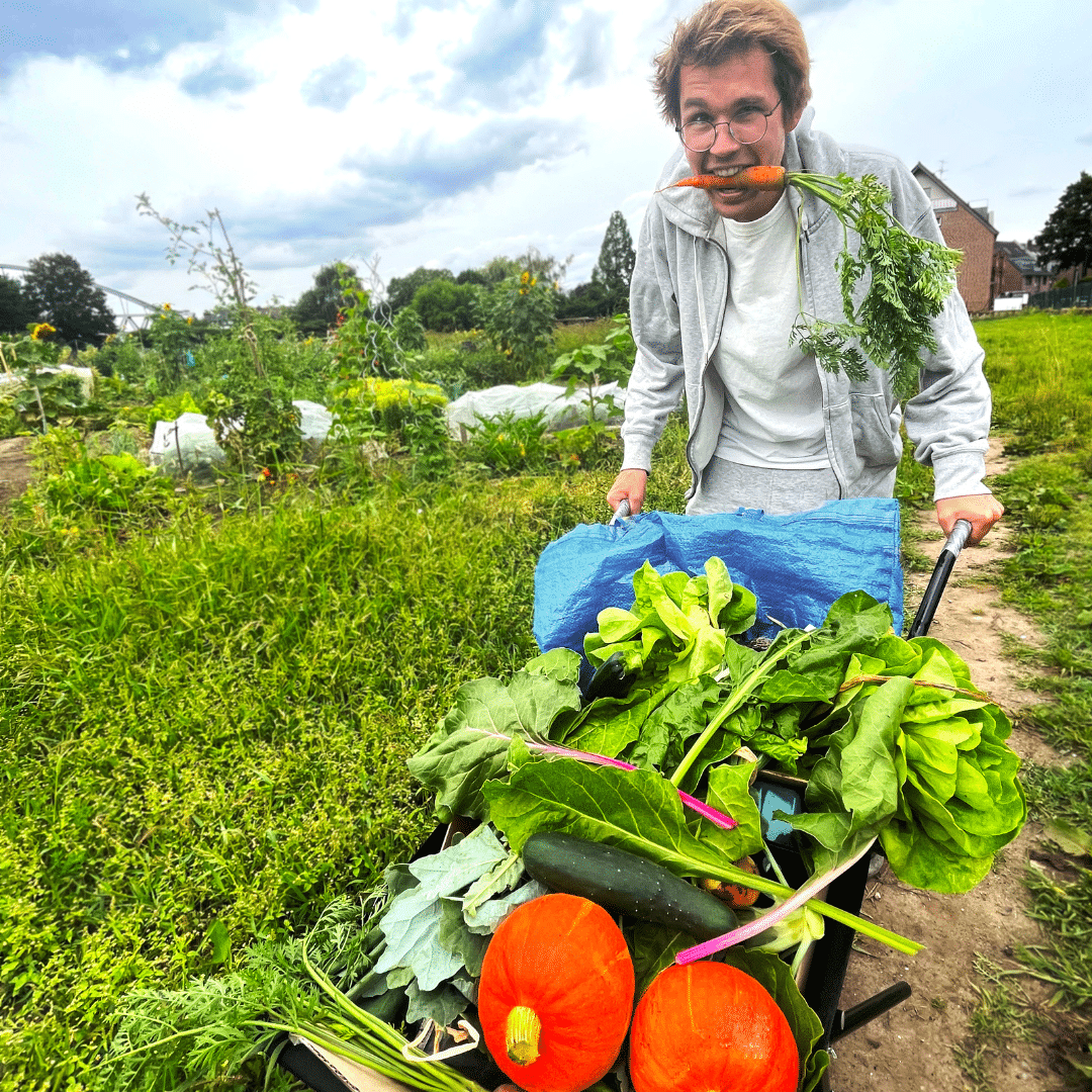 Gemüsegarten mieten in DüsseldorfNiederkassel 2025 meine ernte Shop