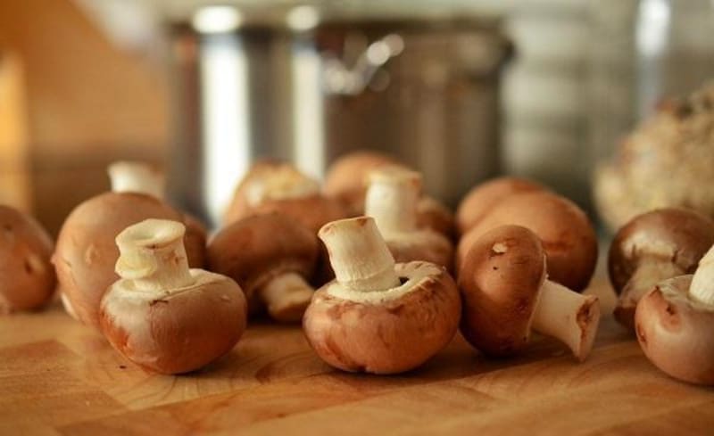 Champignons zu Hause züchten