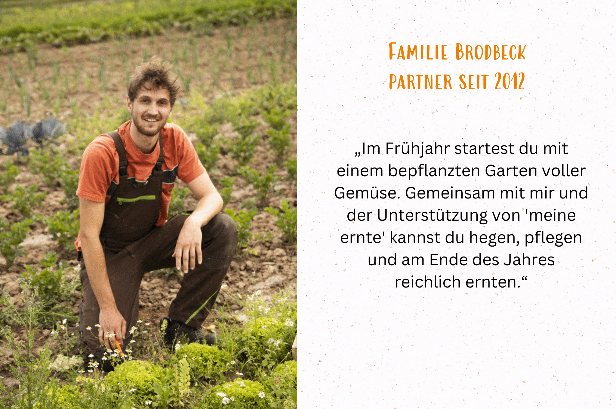 Bio-Gemüsegarten mieten in Stuttgart-Möhringen Fläche 1 – Bild 3