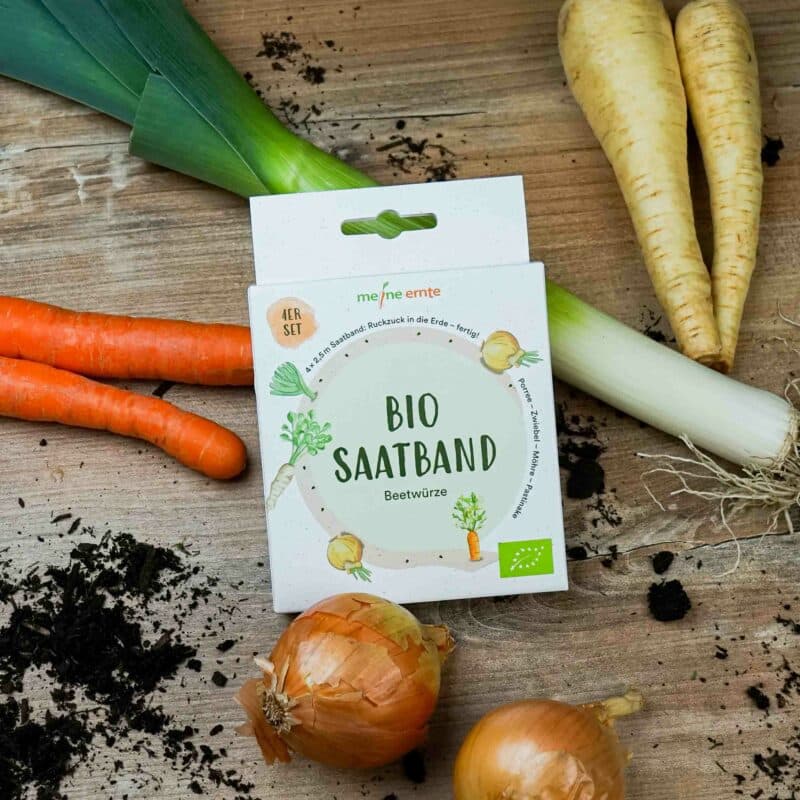 BIO Saatband 4er Set „Beetwürze“ meine ernte meine ernte Shop