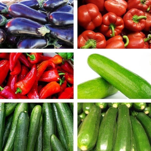 Bio-Premium-Set Sommergemüse I