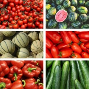 Bio-Premium-Set Sommergemüse II