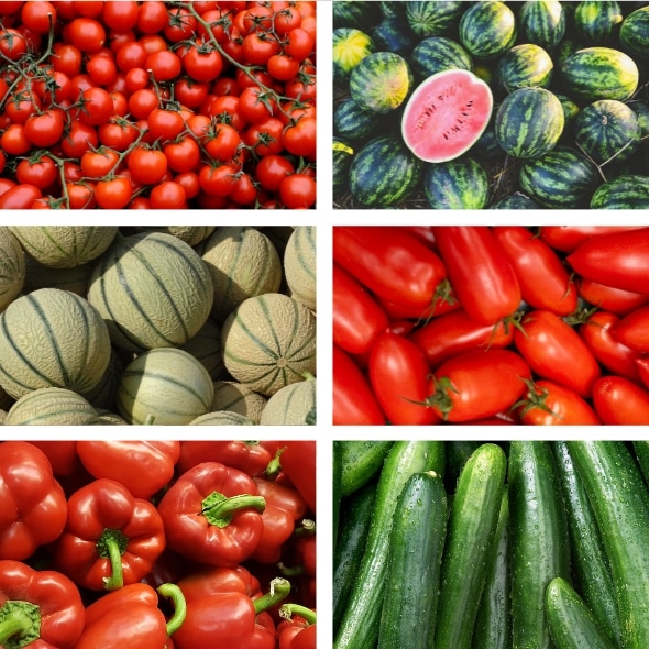 Bio-Premium-Set Sommergemüse II