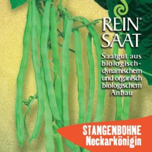 Bohne Stangenbohne Neckarkönigin