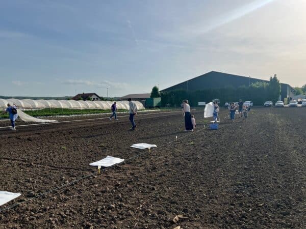 Gemüsegarten mieten in Brühl – Bild 4