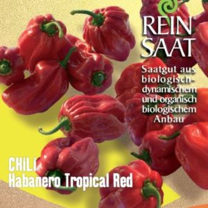 Chili "Habernero rot"