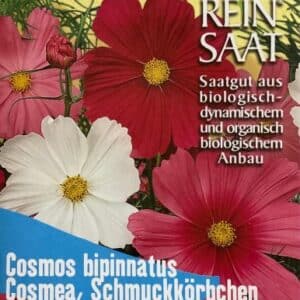 Blume "Cosmos, Schmuckkörbchen"