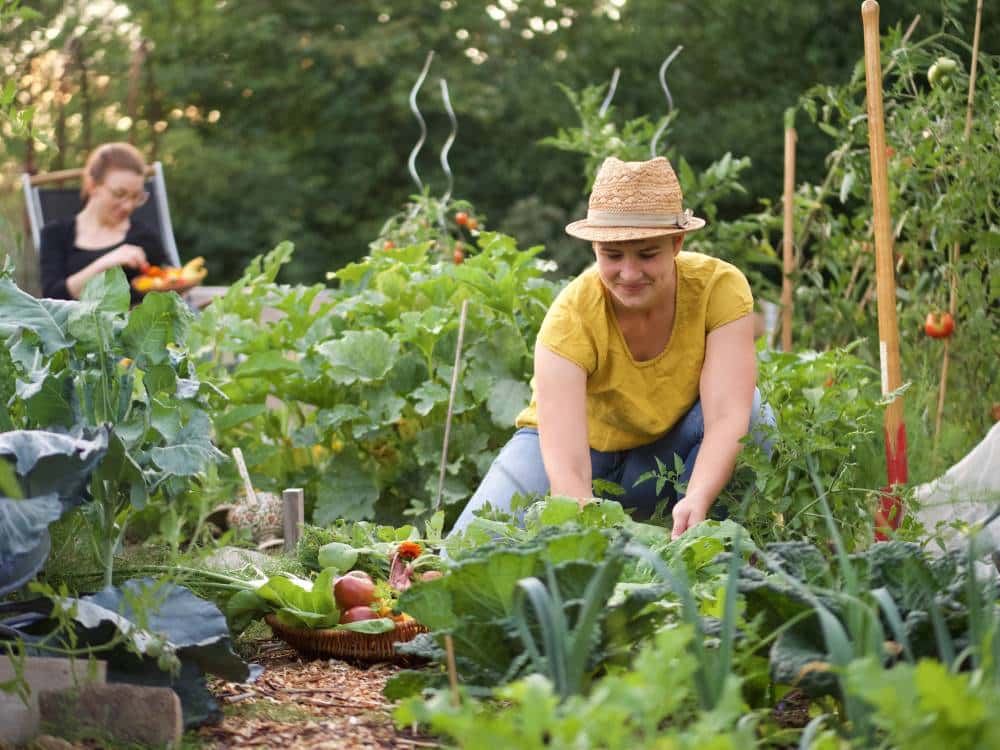 Dauergarten mieten in Köln – 2024/25 – Bild 3