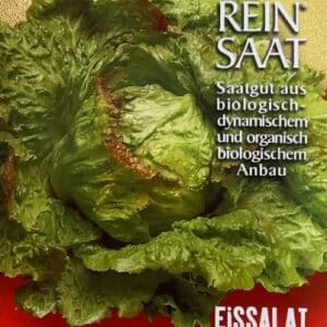 Salat - Eissalat Grazer Krauthäuptel