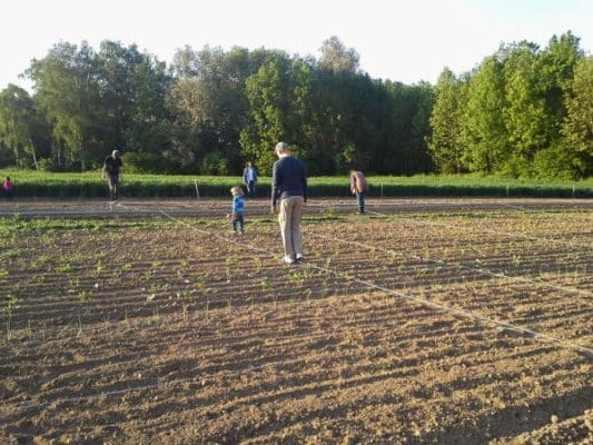 Gemüsegarten mieten in Frankfurt 2025 meine ernte Shop